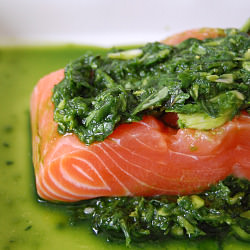 Easy Pesto Salmon