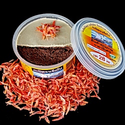 Shrimp Paste