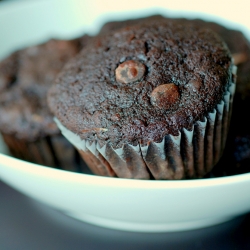 Chocolate Zucchini Muffins