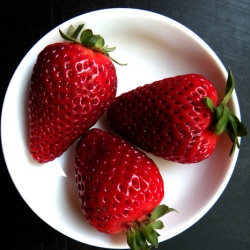 Strawberries + Cream