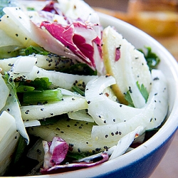 Apple Fennel Salad