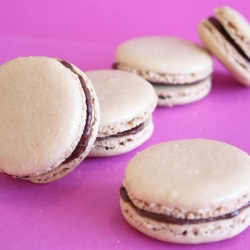 French Macarons, a Journey