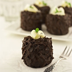 Chocolate Cakes