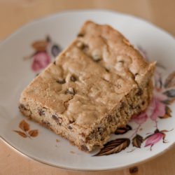 Chocolate Chip Brownies