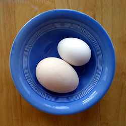 How to Use Duck Eggs