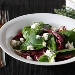 Spinach and Radiccio Salad