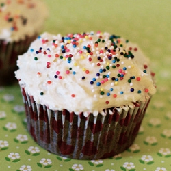 Cupcake with Frosting