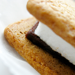 A Bite of Smores