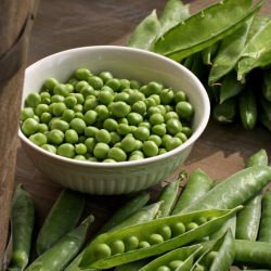 Simple Pleasures – English Peas