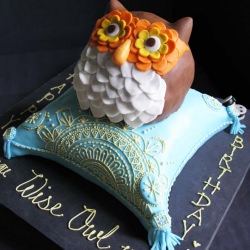 Wise Owl Cake