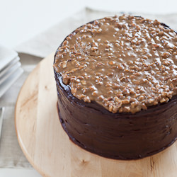 Chocolate Praline Cake