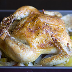 Garlic Roast Chicken