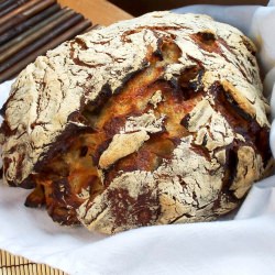 No Knead Apple Bread