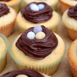 Chocolate-Frosted Butter Cupcake