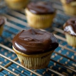 Mini Mocha-Walnut Marbled Cupcakes