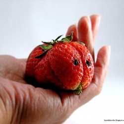 Strawberry Gerbil