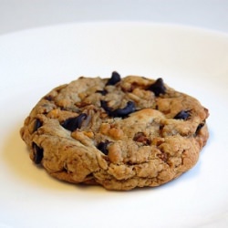 Serious Chocolate Chip Cookies