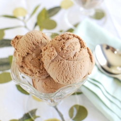 Chocolate Goat’s Milk Ice Cream