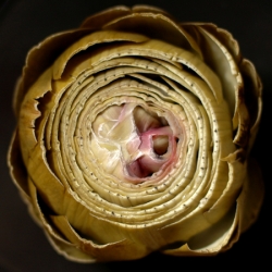 Steamed Artichoke