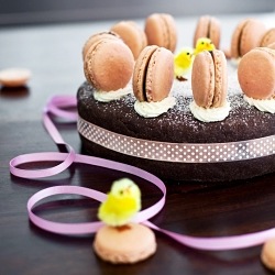 Chocolate Macarons Simnel Cake