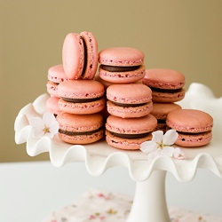 Birthday Macarons