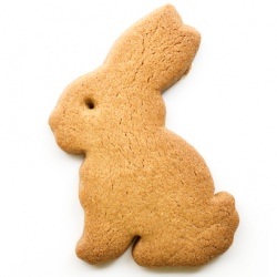 Bunny Biscuits