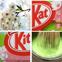 Sakura Matcha Kit Kat and a Recipe