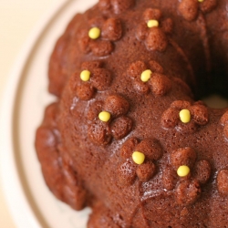 Milk Chocolate Bundt Cake