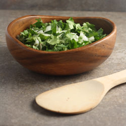 Cilantro and Onion Salsa