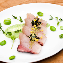 Cured Hamachi