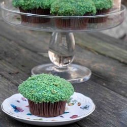 Moss Cupcakes – Mint and Chocolate!