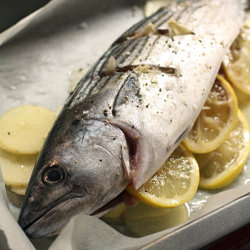 Oven Baked Bonito