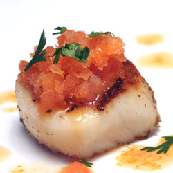 Scallops with Blood Orange Granita