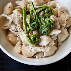 White Pasta with Fiddleheads