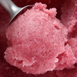 Red Wine and Pear Sorbet