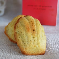 Chaï Tea Madeleine