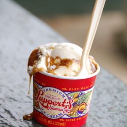 Lappert’s Hawaii Ice Cream