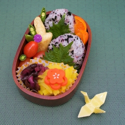 Kyo Bento Box