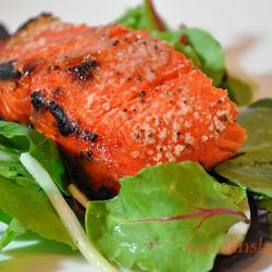 Salty Sugared Salmon