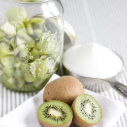 Kiwi Jam