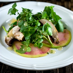 Watermelon Radish Salad