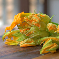 Squash Blossoms