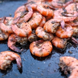 Black Pepper Shrimp