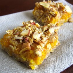 Apricot Orange Squares