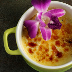 Lavender Creme Brulee