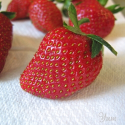 Fraises Biologiques