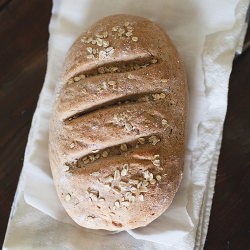 Honey Whole Wheat Bread