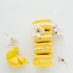 Meyer Lemon Macarons