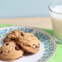 Peanut Butter Chocolate Chip Cookie