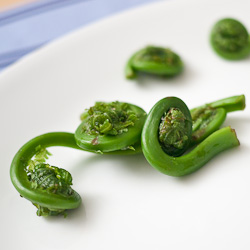 Fiddleheads